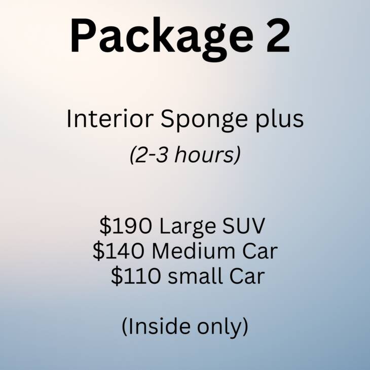 Package 2: Interior Sponge plus (2-3 hours)