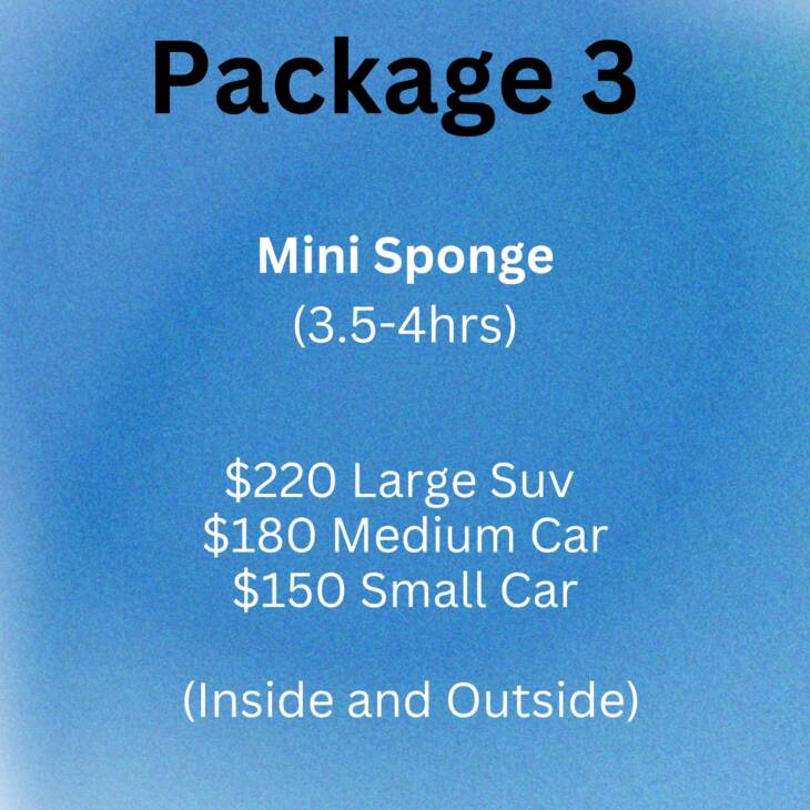 Package 3: Mini Sponge (Approximately 3.5-4hrs)