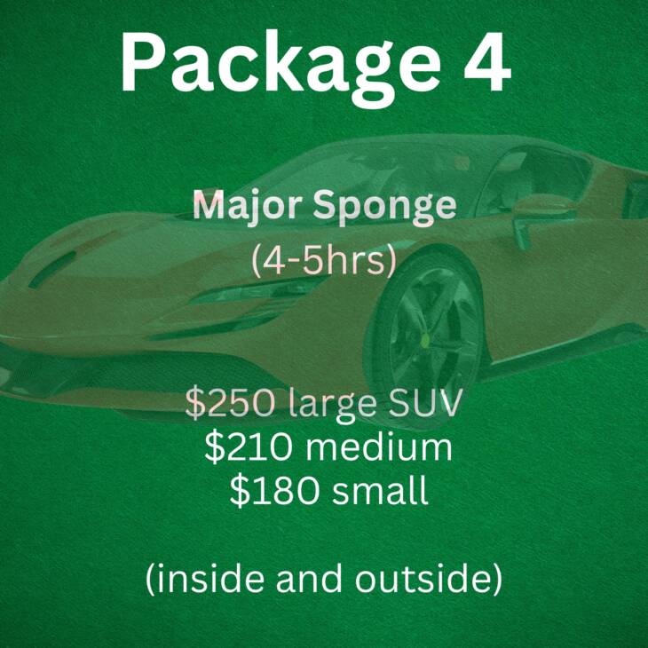 Package 4: Major Sponge (4-5hrs)